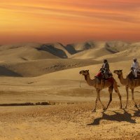 Корабли пустыни :: Valentin Bondarenko