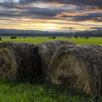 Вечер :: Oleg S