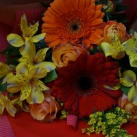 * * * * * :: Алёна Савина