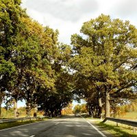 осень :: ИННА ПОРОХОВА