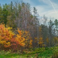 Краски осени :: Андрей Город