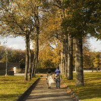 .... :: Dmitry Ozersky