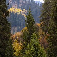 Утро теплого октября :: LudMila 