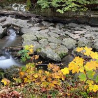 Поит осень ручей за околицей Проливным серо-хмурым дождём. :: "The Natural World" Александер