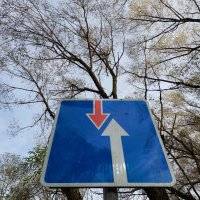 "Преимущество у возносящихся" :: Артём 