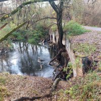 чудеса инженерной мысли :: Артём 