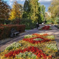 Осенние цветы последние :: Татьяна Машошина