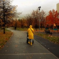 Вот и добрались до макушки осени. :: Татьяна Помогалова