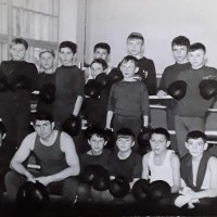 Мальчишки боксеры :: Андрей Хлопонин Мальчишки боксеры :: Андрей Хлопонин