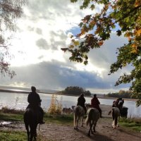 Верхом к шхерам Выборгского залива. :: Ольга 