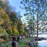 По берегу Выборгского залива. :: Ольга 