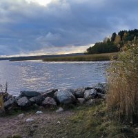 Выборгский залив. :: Ольга 