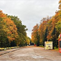 Осенний парк. :: Валерия Комова