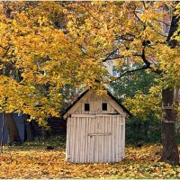 Картинка осени. Сараюшка. :: Валерия Комова