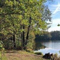 Белое озеро :: Тамара Вебер