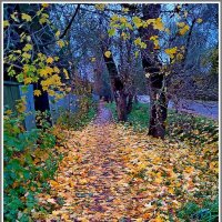 Листопад - день третий, заключительный :: Владимир Попов