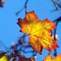 ** :: Зоя Мишина