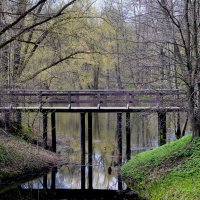 Кузьминский парк :: Игорь Белоногов Кузьминский парк :: Игорь Белоногов