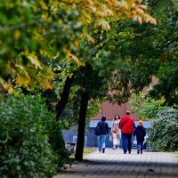 *** :: Николай Саржанов *** :: Николай Саржанов