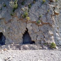 Мышиные норы :: Андрей Щетинин