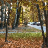 Петербургские дворики. :: Лилия *