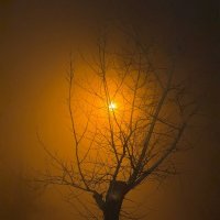 *** :: Яна Горбунова