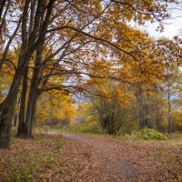 Это осень :: Олег Дорошенко Это осень :: Олег Дорошенко