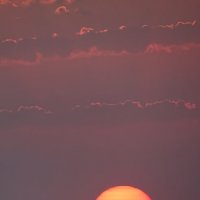 Вечер :: Павел Трунцев