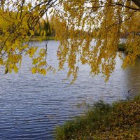 Осенний сюжет :: Сергей Ц