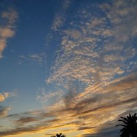 .... :: Андрей 