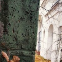 *** :: Любовь *** :: Любовь