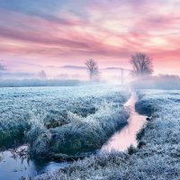 misty morning :: Elena Wymann