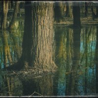 * * * :: Руслан 