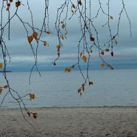 Онего.Береза. :: Мария 