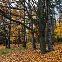 Почти молитва :: Андрей Лукьянов