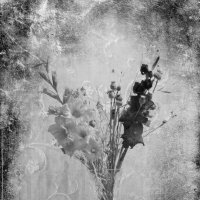 ЧБ натюрморт :: Роман Савоцкий