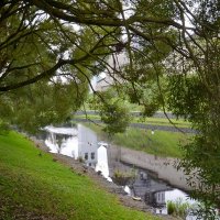 ПСКОВ, кремль. :: Виктор Осипчук