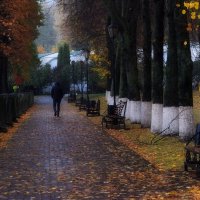 Погода портится. :: Татьяна Помогалова Погода портится. :: Татьяна Помогалова