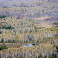 Вид на осень сверху :: Галина Ильясова