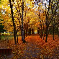 Чебоксары. Дорисс-парк осенью :: Пётр Чернега Чебоксары. Дорисс-парк осенью :: Пётр Чернега