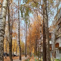 Пора листопада :: Виктор 