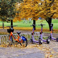 Пока разрешено , катайся по велодорожкам ! :: Анатолий Колосов