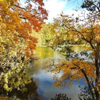 осень :: ИННА ПОРОХОВА