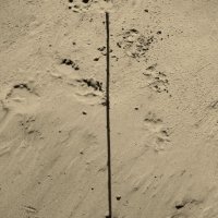 Фотография :: Денис Безногов