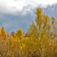 Осенний пейзаж :: Светлана 