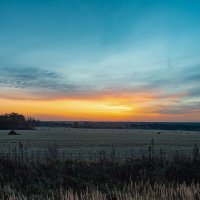 В поле. :: Валерий 