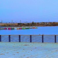 ВОДНЫЙ АВТОПАРК :: Анатолий Малобродский ВОДНЫЙ АВТОПАРК :: Анатолий Малобродский