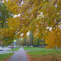 Середина осени :: Татьяна Львова