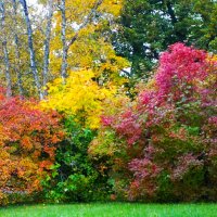 Все краски октября :: Aida10 Все краски октября :: Aida10