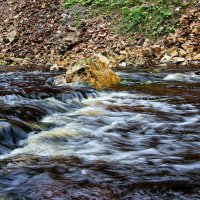 река,Рагуша,Бокситогорск :: Laryan1 